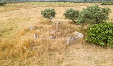 Quinta com 2,8250 ha e ruínas com 46 m2 em fornalhas velhas