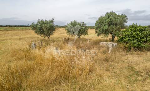Quinta com 2,8250 ha e ruínas com 46 m2 em fornalhas velhas