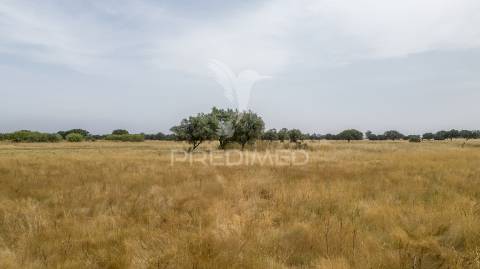 Quinta com 2,8250 ha e ruínas com 46 m2 em fornalhas velhas
