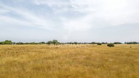 Quinta com 2,8250 ha e ruínas com 46 m2 em fornalhas velhas