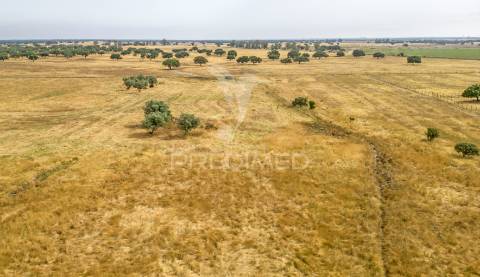 Quinta com 2,8250 ha e ruínas com 46 m2 em fornalhas velhas