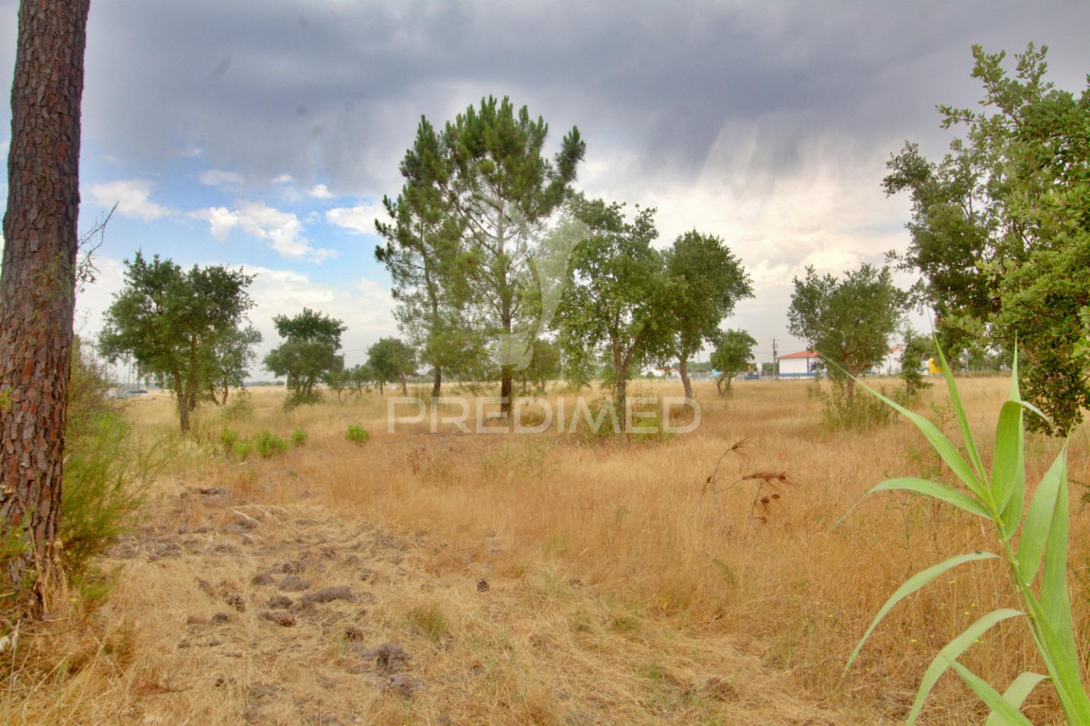 Lote para construção à venda em granho – localização estratégica e potencial garantido
