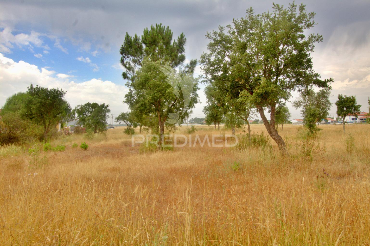 Lote para construção à venda em granho – localização estratégica e potencial garantido