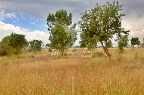 Lote para construção à venda em granho – localização estratégica e potencial garantido