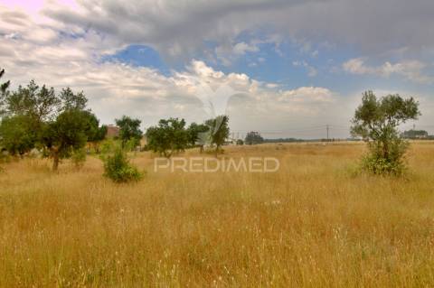 Lote para construção à venda em granho – localização estratégica e potencial garantido