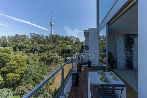 Apartamento t0 com vistas fantásticas