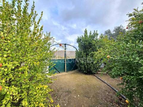 Terreno rústico em entradas, castro verde