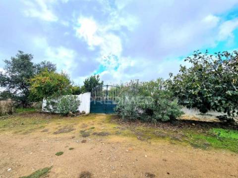 Terreno rústico em entradas, castro verde