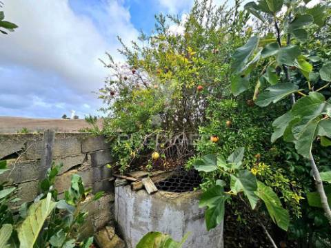 Terreno rústico em entradas, castro verde
