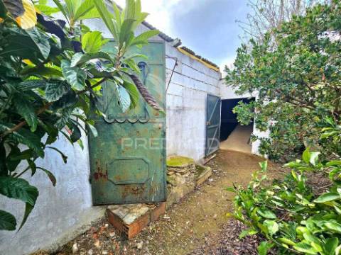 Terreno rústico em entradas, castro verde