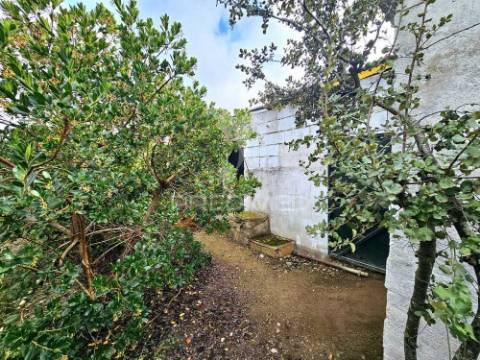 Terreno rústico em entradas, castro verde