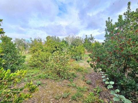 Terreno rústico em entradas, castro verde