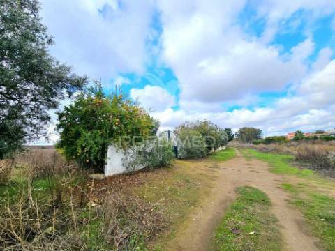 Terreno rústico em entradas, castro verde