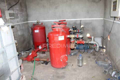 Vinha em plena produção 20 ha