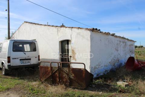 Vinha em plena produção 20 ha