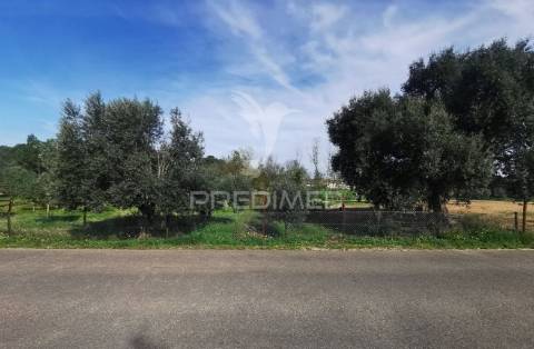 Lote de terreno rustico