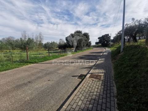 Lote de terreno rustico