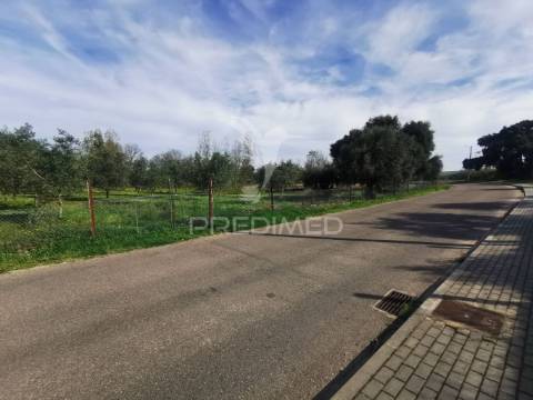 Lote de terreno rustico