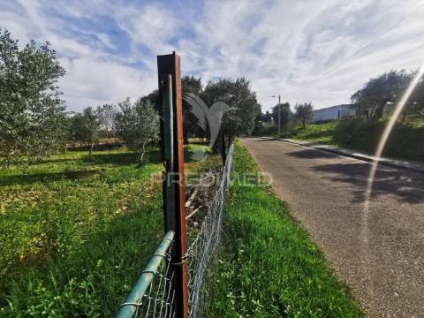 Lote de terreno rustico