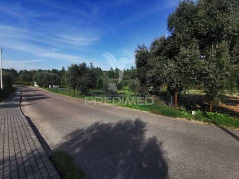 Lote de terreno rustico