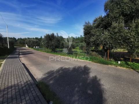 Lote de terreno rustico