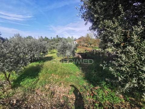Lote de terreno rustico