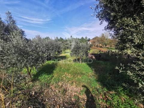 Lote de terreno rustico