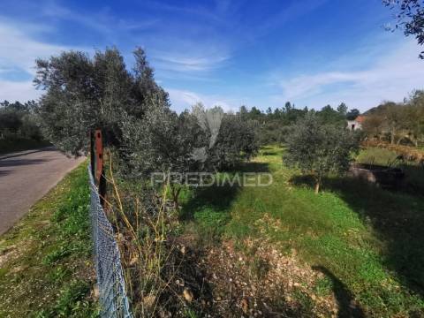 Lote de terreno rustico