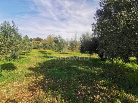Lote de terreno rustico