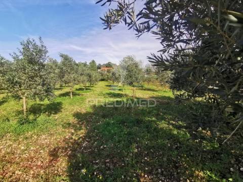 Lote de terreno rustico