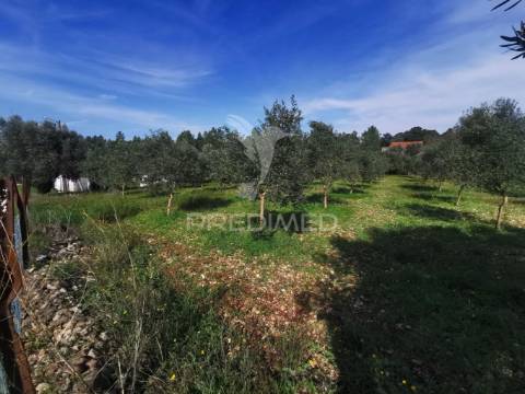 Lote de terreno rustico
