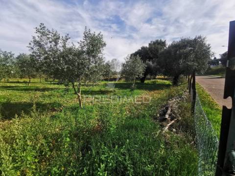 Lote de terreno rustico