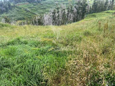 Terreno com 6.620 m2 na ponta do pargo