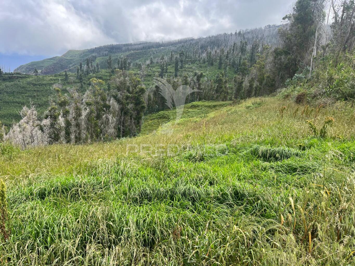 Terreno com 6.620 m2 na ponta do pargo