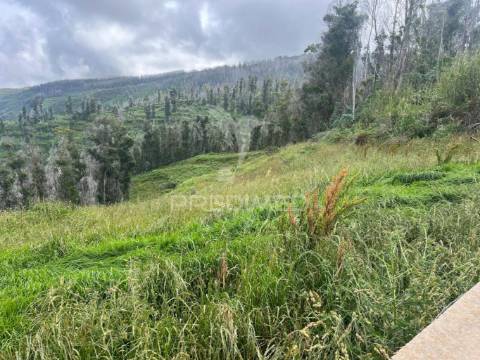 Terreno com 6.620 m2 na ponta do pargo