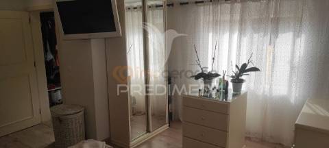 Quinta com moradia t3 terrugem com piscina + terreno rústico