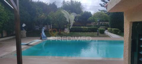 Quinta com moradia t3 terrugem com piscina + terreno rústico