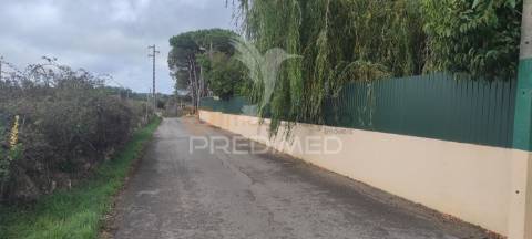 Quinta com moradia t3 terrugem com piscina + terreno rústico