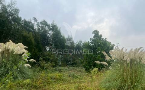 Terreno urbano - construção de moradia - moradia