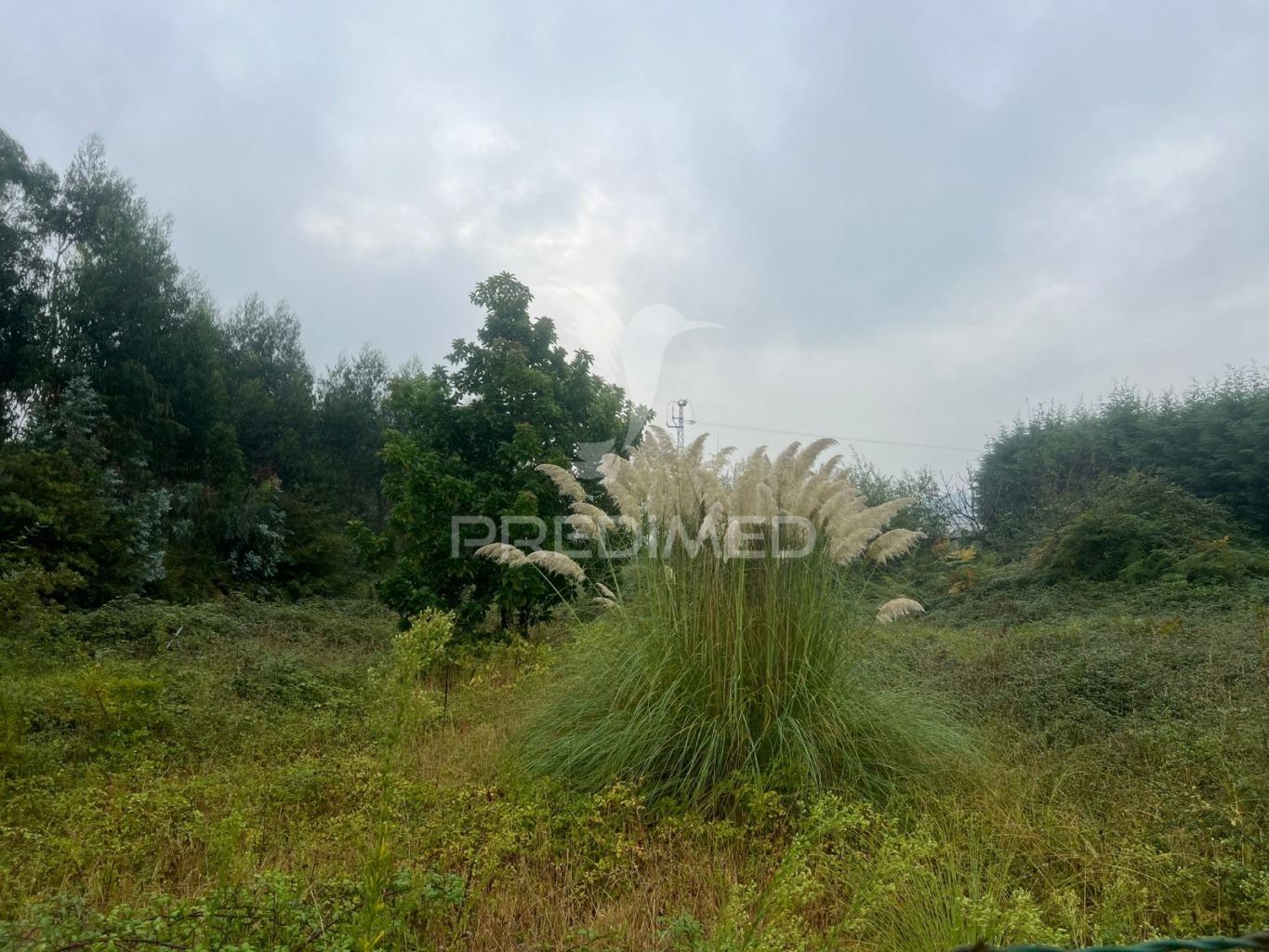 Terreno urbano - construção de moradia - moradia