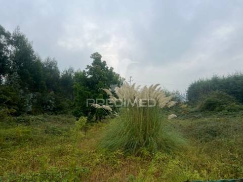 Terreno urbano - construção de moradia - moradia