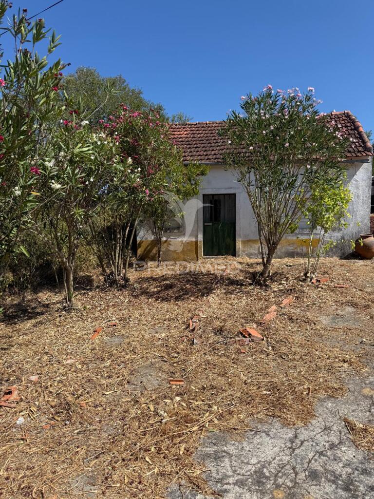 Moradia térrea t2 para restaurar - moita, pernes