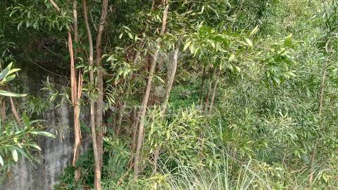 ? terreno para o seu novo lar, junto ao douro! ?