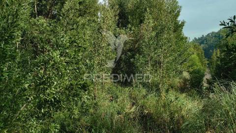 ? terreno para o seu novo lar, junto ao douro! ?