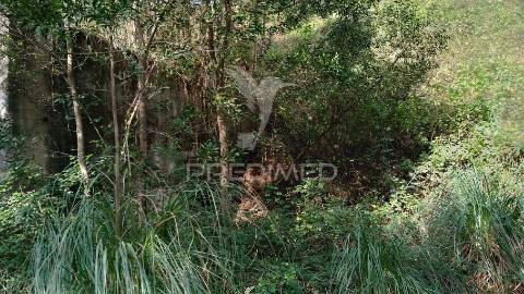 ? terreno para o seu novo lar, junto ao douro! ?