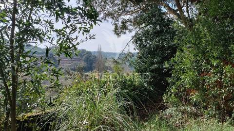 ? terreno para o seu novo lar, junto ao douro! ?