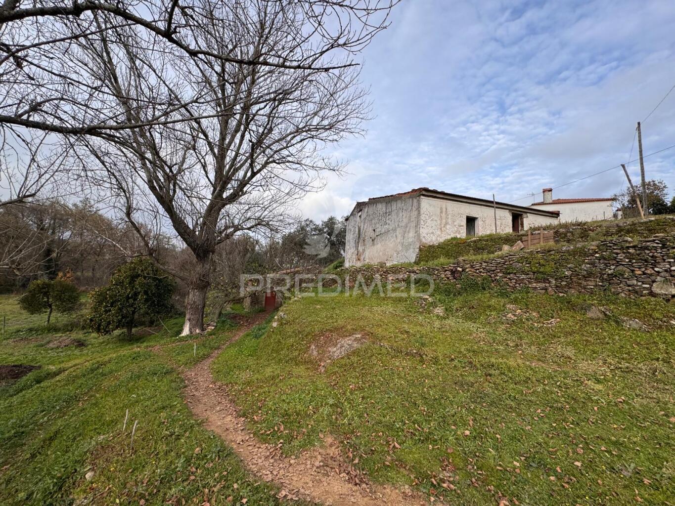 Quinta em alegrete