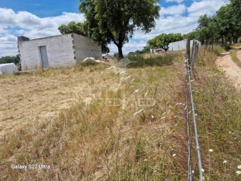 Terreno. rustico, no  torrão do alentejo