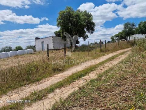 Terreno. rustico, no  torrão do alentejo