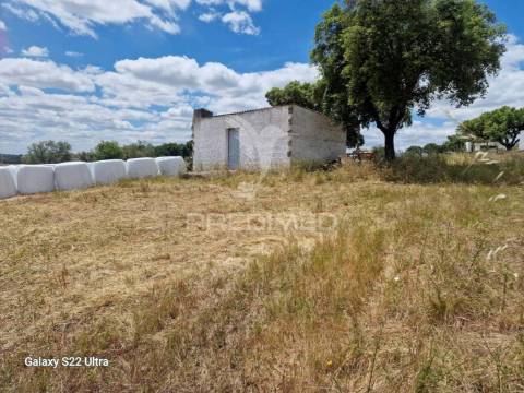 Terreno. rustico, no  torrão do alentejo
